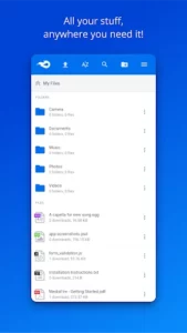 MediaFire 1