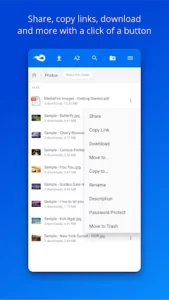 MediaFire 3